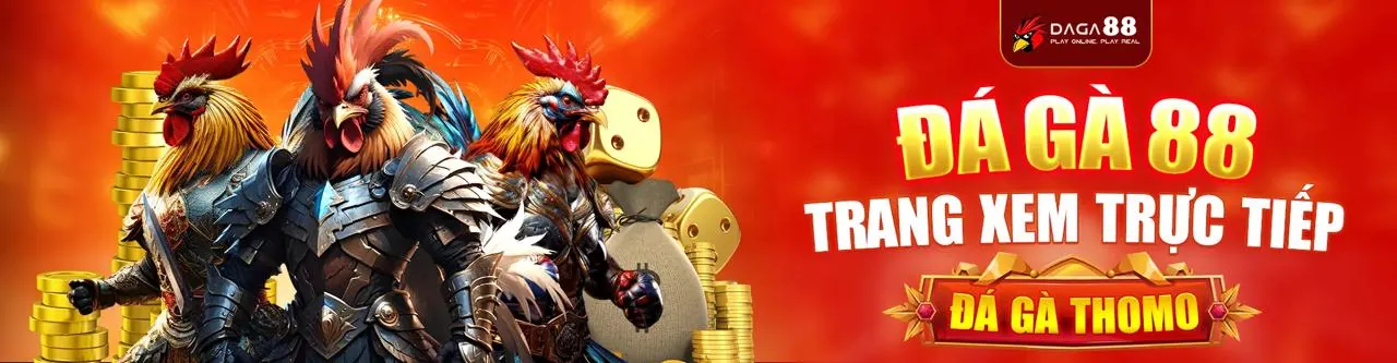 Sân đấu đá gà trực tuyến sôi động tại AX88 BET
