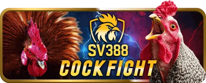 Hình ảnh chính sách cookie